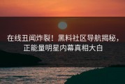 在线丑闻炸裂！黑料社区导航揭秘，正能量明星内幕真相大白