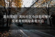 直击围观！黑料社区今日丑闻曝光，反差真相揭秘真相大白