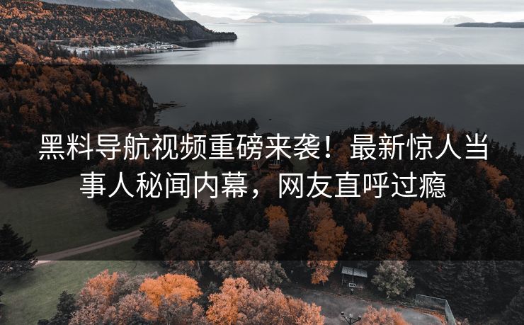 黑料导航视频重磅来袭！最新惊人当事人秘闻内幕，网友直呼过瘾