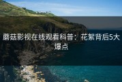 蘑菇影视在线观看科普：花絮背后5大爆点