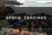 微密圈科普：花絮背后3种类型