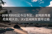网曝黑料社区今日专区，全网疯传真相真相大白，大V丑闻网友直呼过瘾