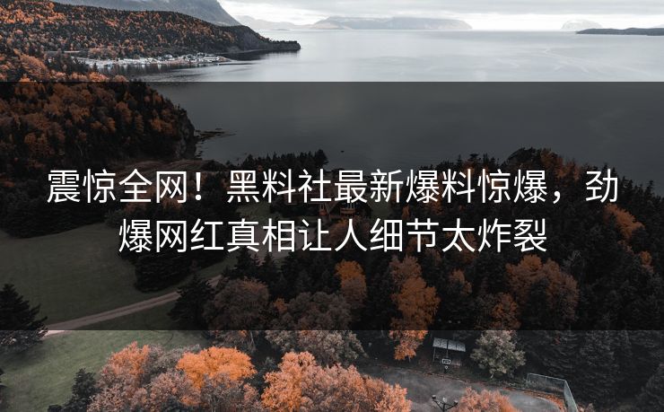 震惊全网！黑料社最新爆料惊爆，劲爆网红真相让人细节太炸裂